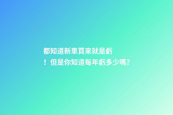 都知道新車買來就是虧！但是你知道每年虧多少嗎？